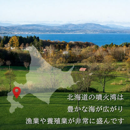 【生食可】北海道噴火湾産 ブランド牡蠣「秀峰」Mサイズ 150〜200g 10〜40個入り【滅菌処理済み】
