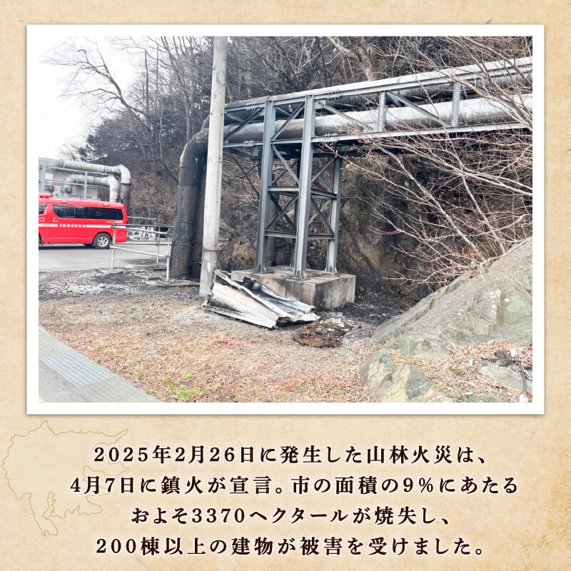 【三陸翡翠あわび復活プロジェクト】翡翠のしずく ストラップ