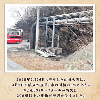 【三陸翡翠あわび復活プロジェクト】翡翠のしずく ストラップ