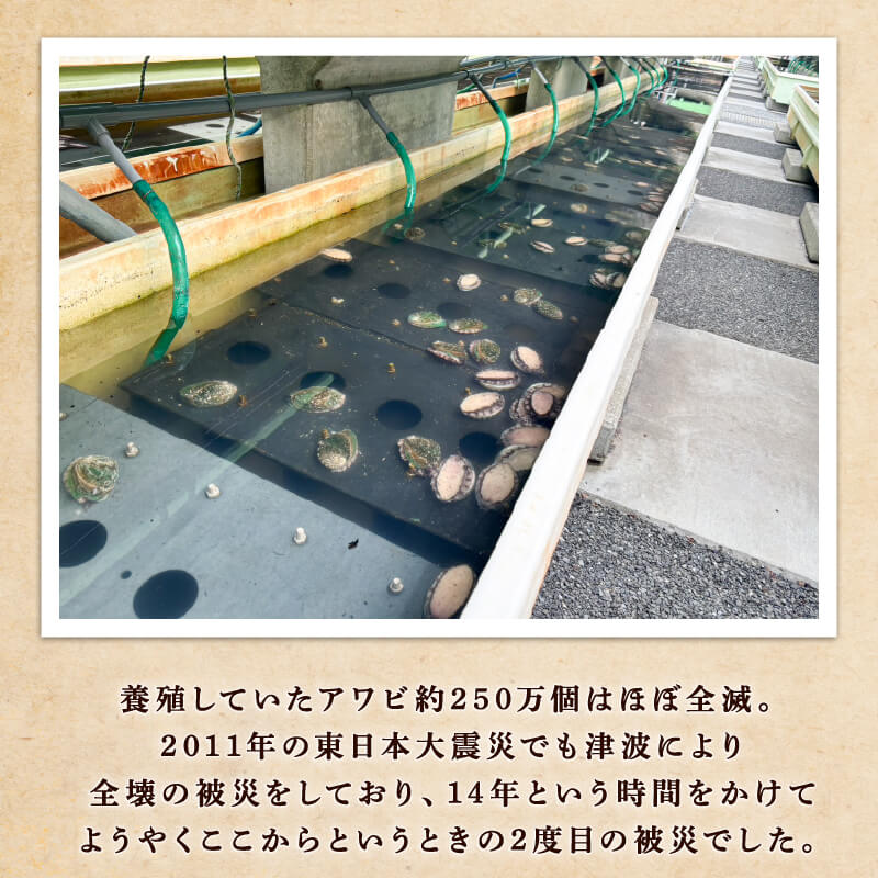 【三陸翡翠あわび復活プロジェクト】翡翠のしずく ストラップ
