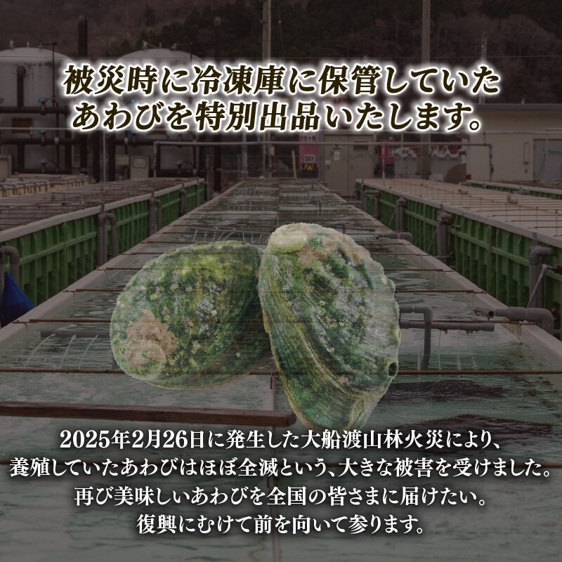 訳あり 三陸翡翠あわび 蒸しあわび 小さめサイズ10個入り