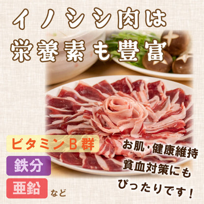 ジビエ猪肉 食通の方にも、初めての方にもオススメ！ 猪肉ロース・モモ・ネック食べ比べお楽しみセット