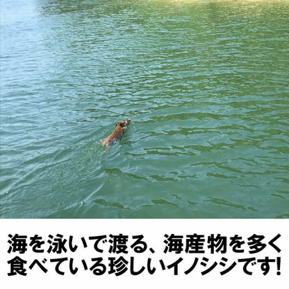 【ジビエ初心者にもおすすめ】訳あり 猪肉ソーセージ