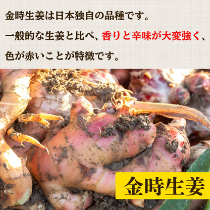 高知県産しょうが 「土佐一」と「金時生姜」セット 2kg（各1kg）