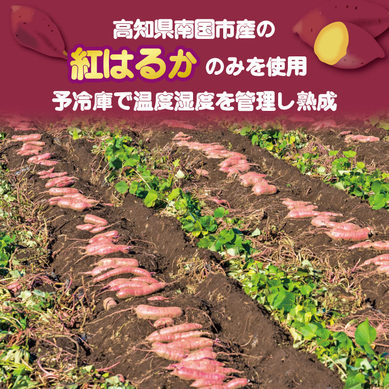 【高知名物 】いも天　紅はるか【15個～45個まで選択可】