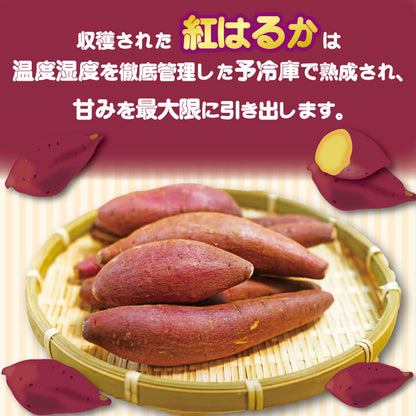 【高知県産 紅はるか使用】いもスティック【300g～900gまで選択可】