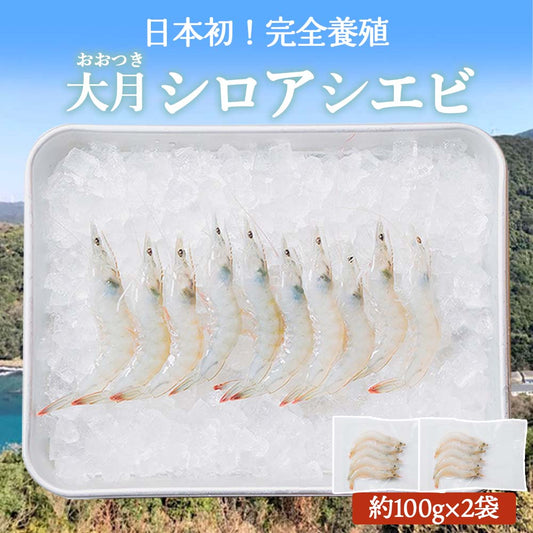 【日本初！完全養殖】大月シロアシエビ　２袋入り