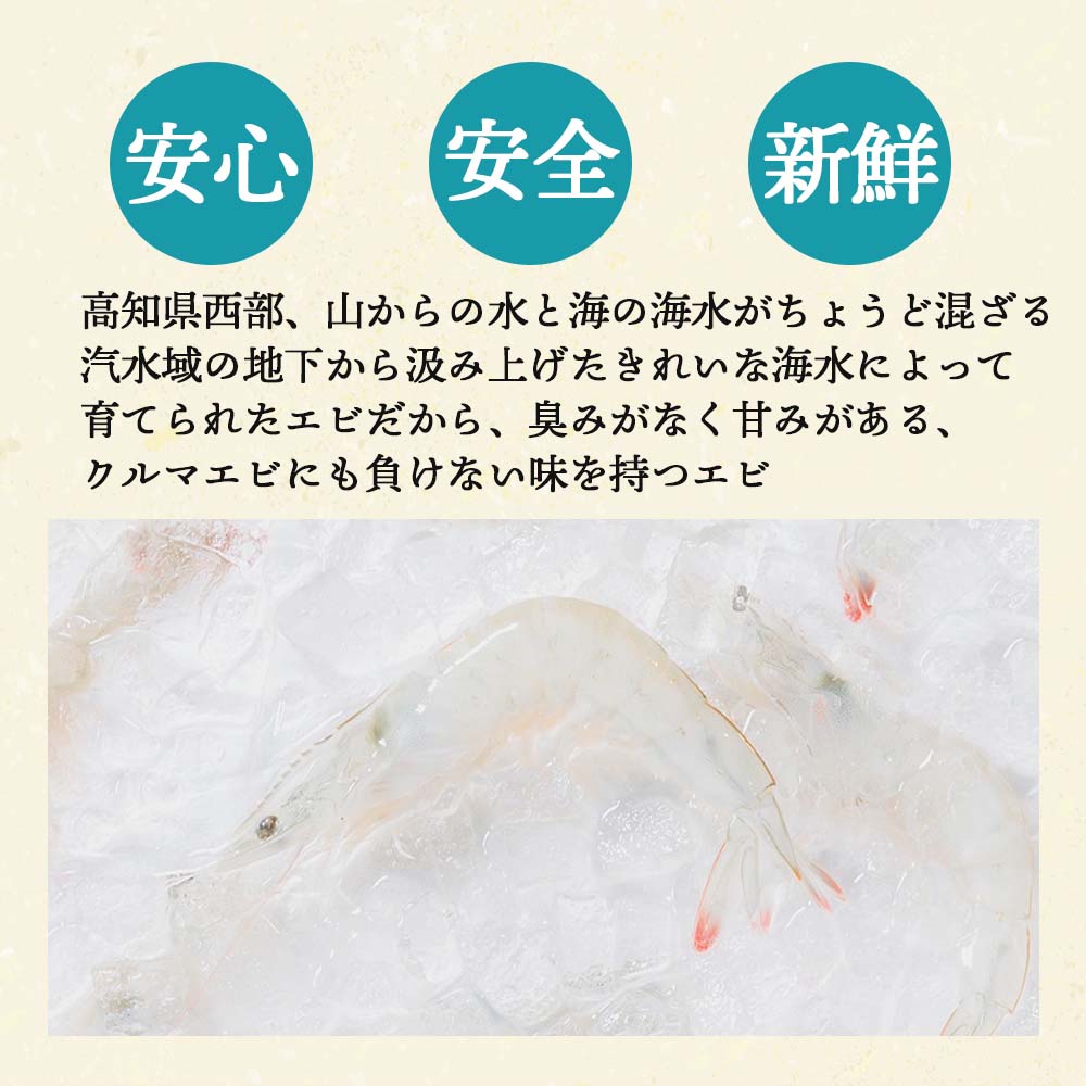 【日本初！完全養殖】大月シロアシエビ　３袋入り