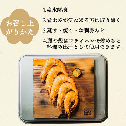 【日本初！完全養殖】大月シロアシエビ　３袋入り