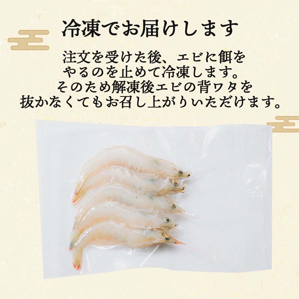 【日本初！完全養殖】大月シロアシエビ　３袋入り