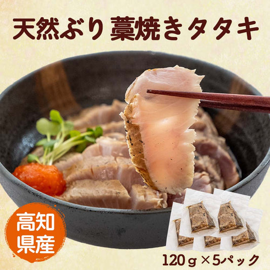 高知県産天然ブリ藁焼きタタキ　５パック【ブリ】
