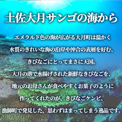 きびなごケンピ6袋入り
