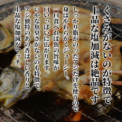 高級味の干物恋アジ