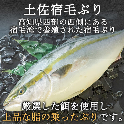 土佐宿毛ぶり　まるごと１本【鮮魚】【ブリ】