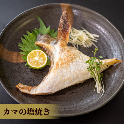 土佐宿毛ぶり　まるごと１本【鮮魚】【ブリ】