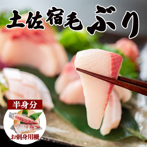 土佐宿毛ぶり　お刺身用柵　半身分【鮮魚】【ブリ】