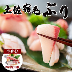 土佐宿毛ぶり　お刺身用柵　半身分【鮮魚】【ブリ】