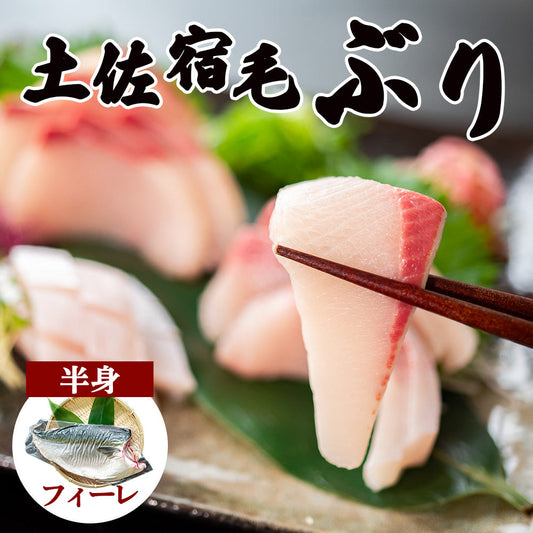 土佐宿毛ぶり　半身 皮付き・カマ付きフィーレ【鮮魚】【ブリ】
