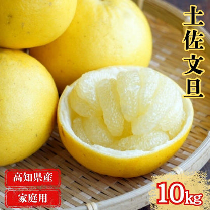 【高知県 宿毛産】土佐文旦 家庭用 10kg 【柑橘】