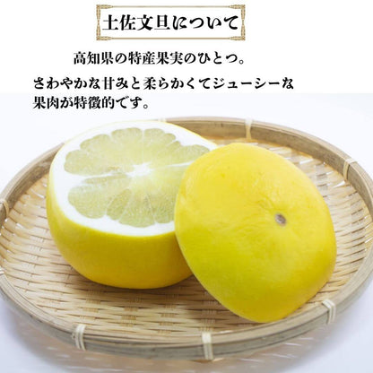 【高知県 宿毛産】土佐文旦 家庭用 10kg 【柑橘】