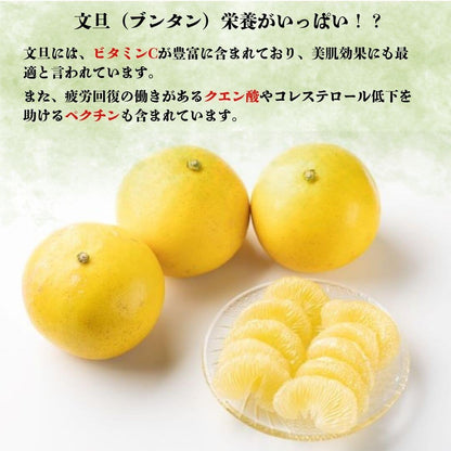 【高知県 宿毛産】土佐文旦 家庭用 10kg 【柑橘】