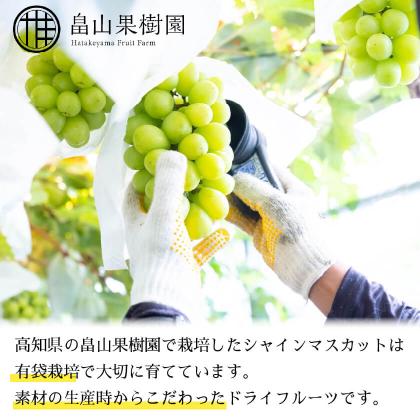 【在庫限り半額セール中】シャインマスカットドライフルーツ　1袋