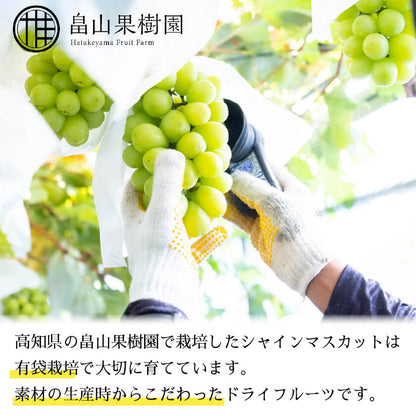 【在庫限り半額セール中】シャインマスカットドライフルーツ　1袋
