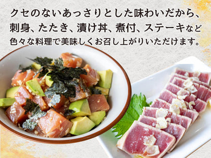 キハダマグロブロック 1kg 【お届け日時指定不可】