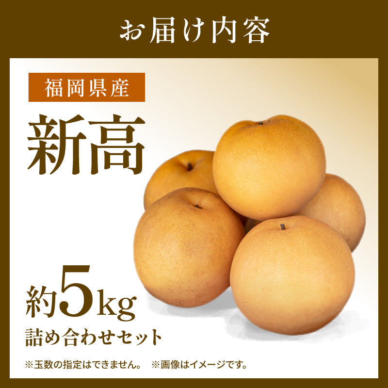 【10月初旬以降順次出荷】福岡県産 新高梨 約3～5kg