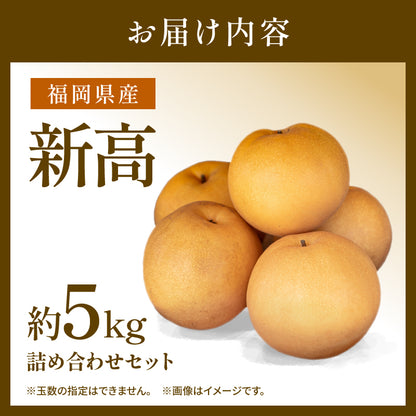 【10月初旬以降順次出荷】福岡県産 新高梨 約3～5kg