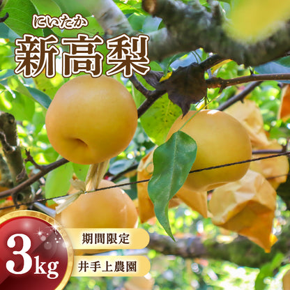 福岡県産 新高梨（にいたかなし） 約3kg・5kg【日付指定不可・順次出荷】