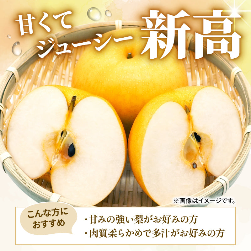 【10月初旬以降順次出荷】福岡県産 新高梨 約3～5kg