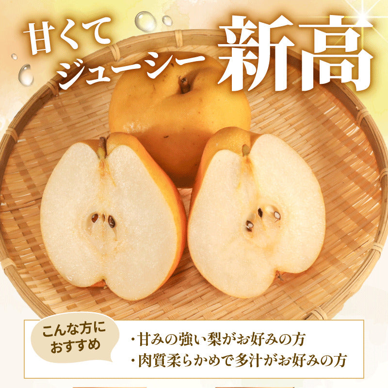 福岡県産 新高梨（にいたかなし） 約3kg・5kg【日付指定不可・順次出荷】