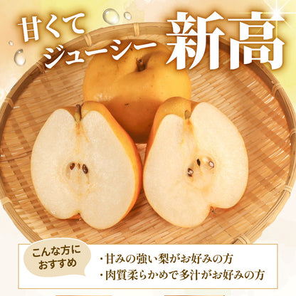 福岡県産 新高梨（にいたかなし） 約3kg・5kg【日付指定不可・順次出荷】