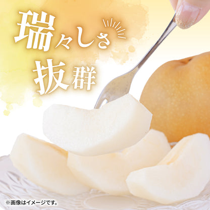 【10月初旬以降順次出荷】福岡県産 新高梨 約3～5kg