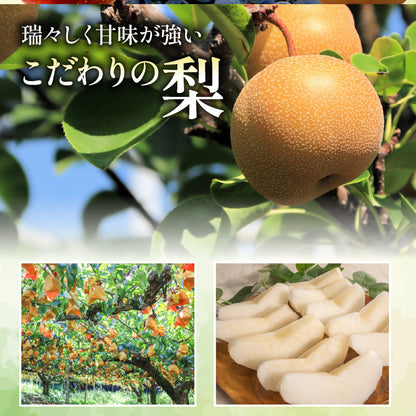 福岡県産 新高梨（にいたかなし） 約3kg・5kg【日付指定不可・順次出荷】