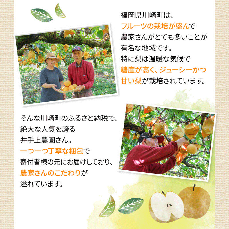 福岡県産 新高梨（にいたかなし） 約3kg・5kg【日付指定不可・順次出荷】