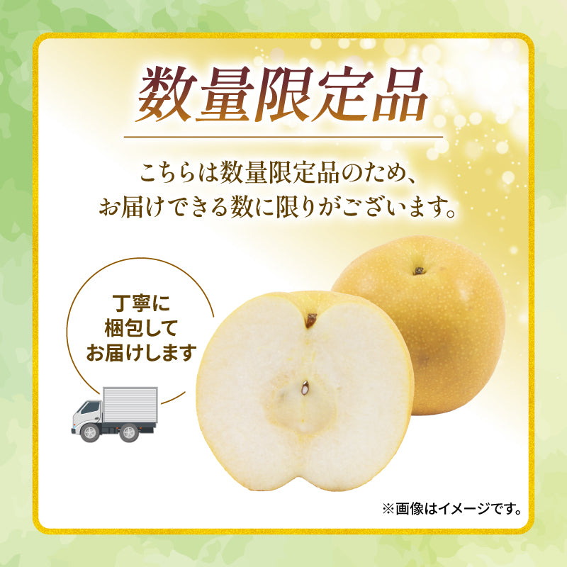 【10月初旬以降順次出荷】福岡県産 新高梨 約3～5kg