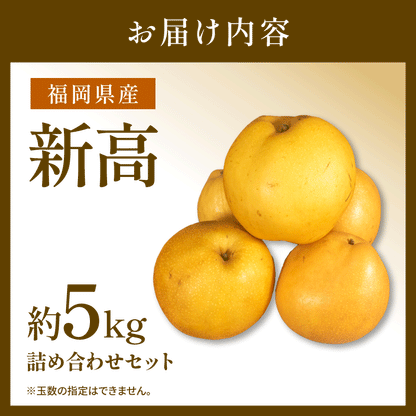 福岡県産 新高梨（にいたかなし） 約3kg・5kg【日付指定不可・順次出荷】