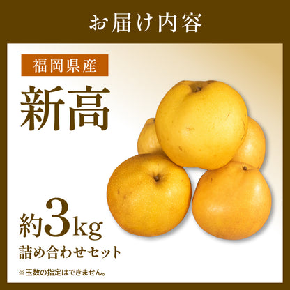 福岡県産 新高梨（にいたかなし） 約3kg・5kg【日付指定不可・順次出荷】