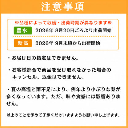 【甘み・香りともに最高】福岡県産 梨 選べる品種 新高/豊水 5kg【9月頃より出荷・予約受付中】