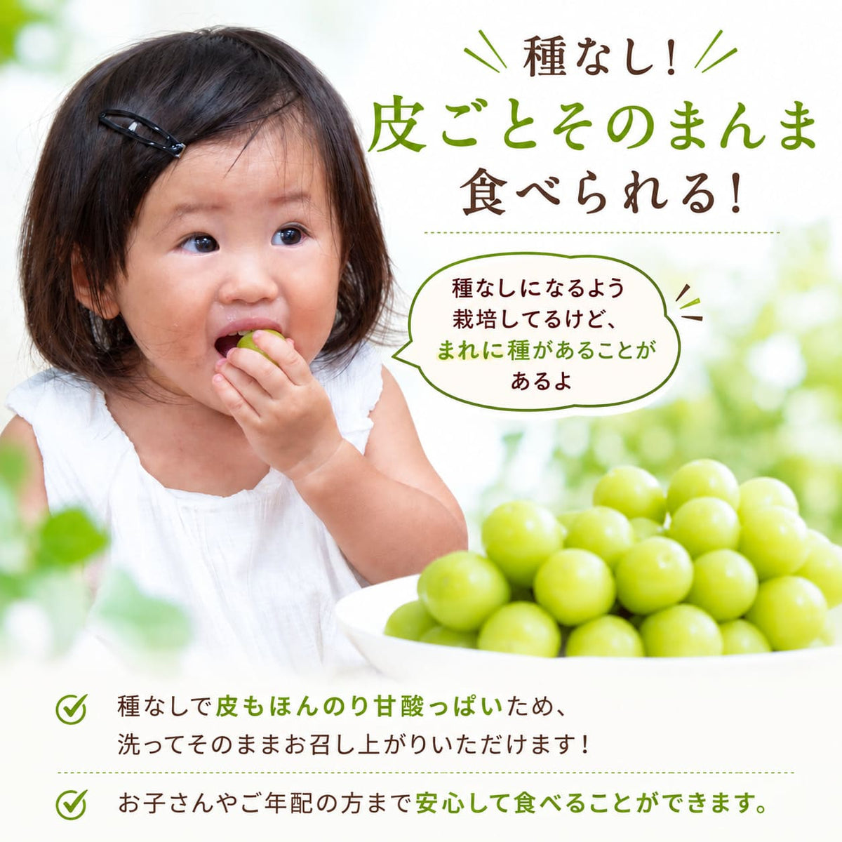 【順次出荷中】家庭用/秀品シャインマスカット 1房約500g【1房～4房まで選択可】