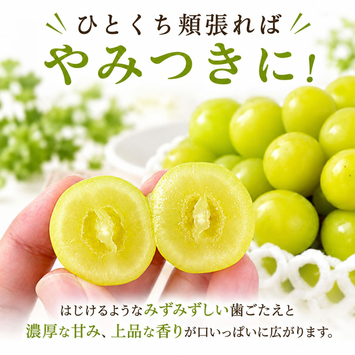 【順次出荷中】シャインマスカット＆クインニーナ　計約1.1kg～約3.3kg【2房～6房から選択可】
