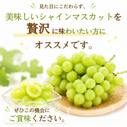 【9月中旬頃より順次出荷・先行予約受付中】家庭用/秀品シャインマスカット 1房約500g【1房～4房まで選択可】