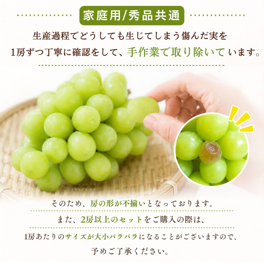 【9月中旬頃より順次出荷・先行予約受付中】家庭用/秀品シャインマスカット 1房約500g【1房～4房まで選択可】