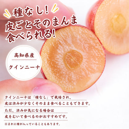 【順次出荷中】家庭用/秀品 高級 クインニーナ 1房約600g【1房～4房から選択可】