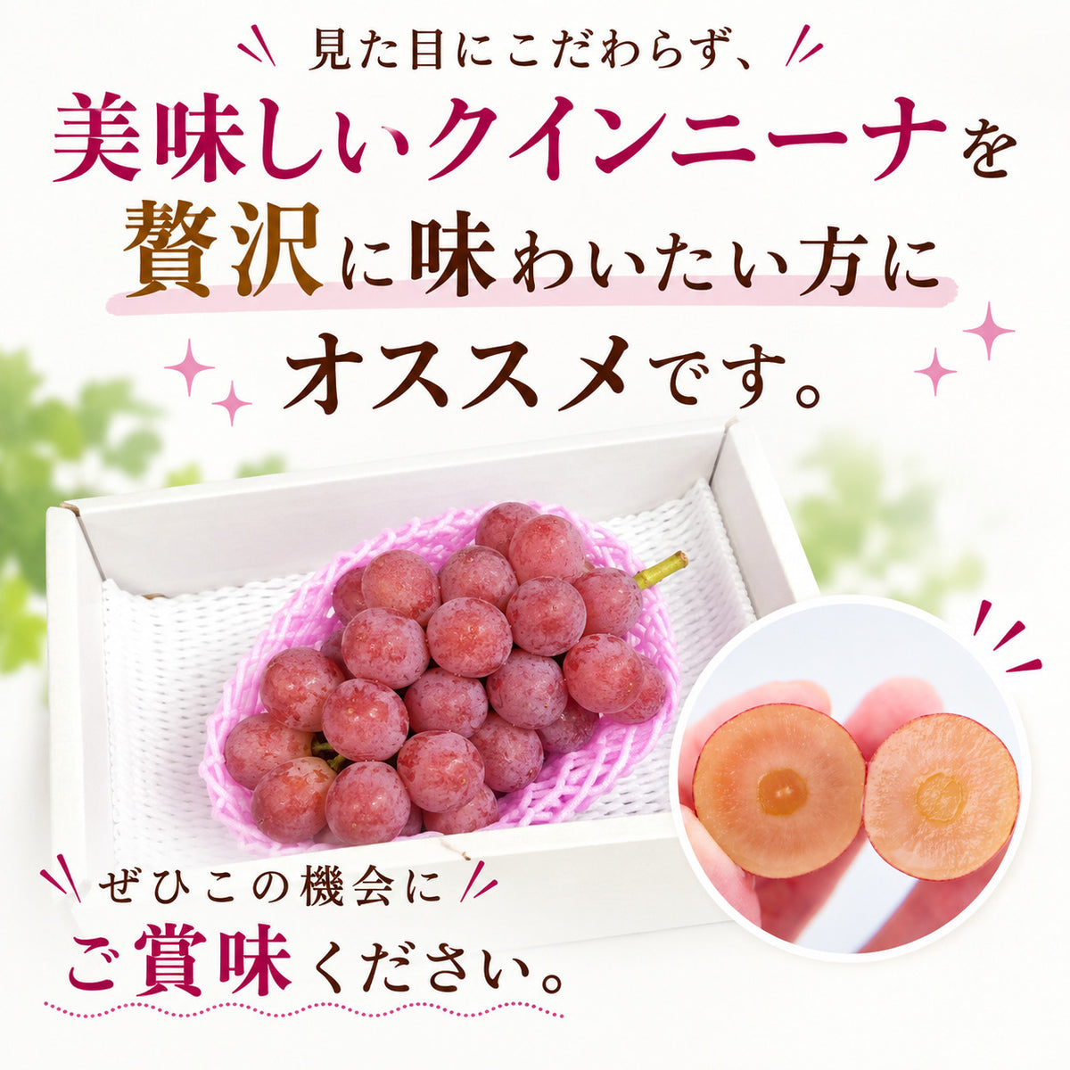 【順次出荷中】家庭用/秀品 高級 クインニーナ 1房約600g【1房～4房から選択可】