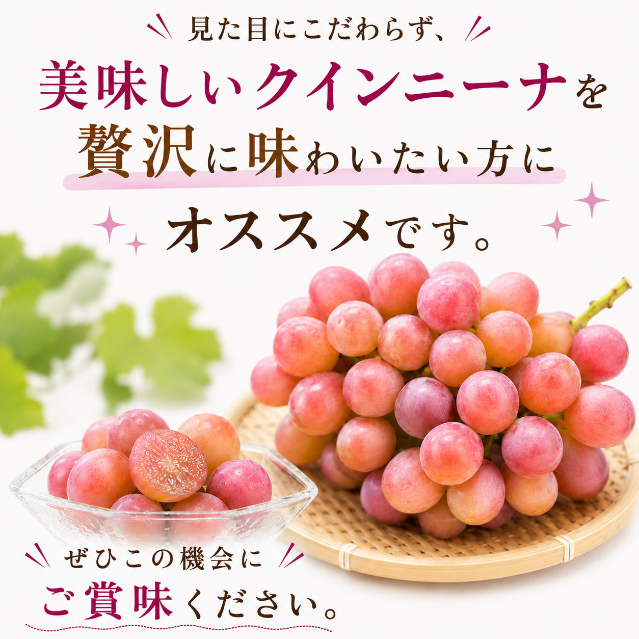 【9月中旬頃より順次出荷・先行予約受付中】家庭用/秀品 高級 クインニーナ 1房約600g【1房～4房から選択可】