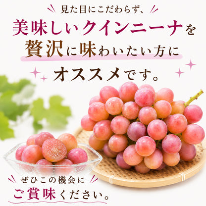 【9月中旬頃より順次出荷・先行予約受付中】家庭用/秀品 高級 クインニーナ 1房約600g【1房～4房から選択可】