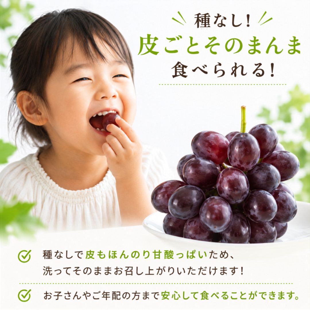 【10月より順次出荷・先行予約受付中】高知県産 高級 富士の輝 1房約600g【 1房～4房まで選択可】